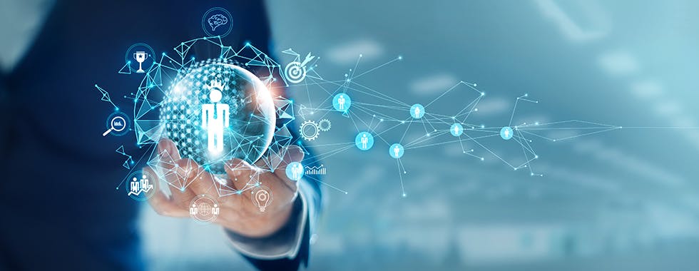 Digital Business Management Studium